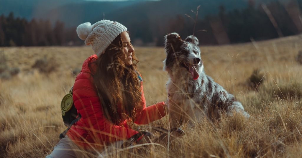 Travelling with pets